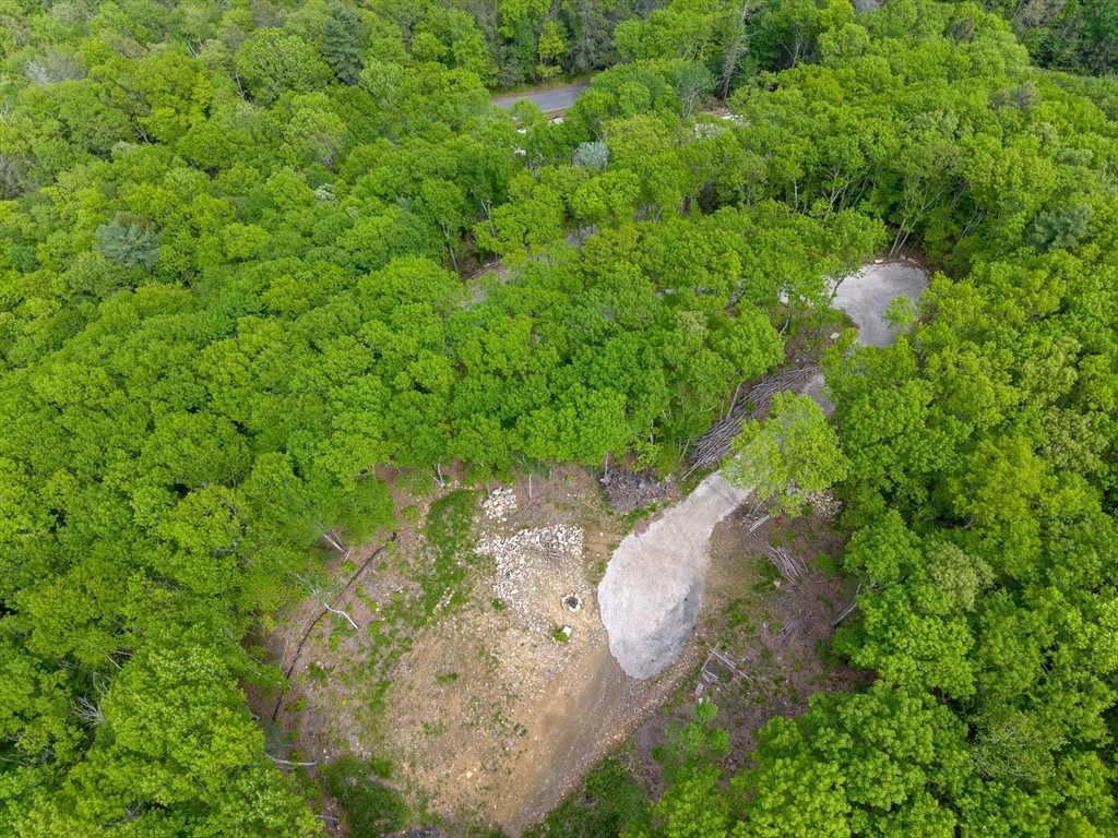 205 Cedar Swamp