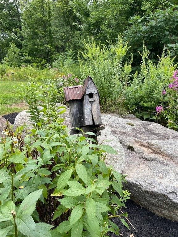 261 Worcester Rd, Princeton, MA, 261 Worcester Rd, Princeton, MA Photo #33
