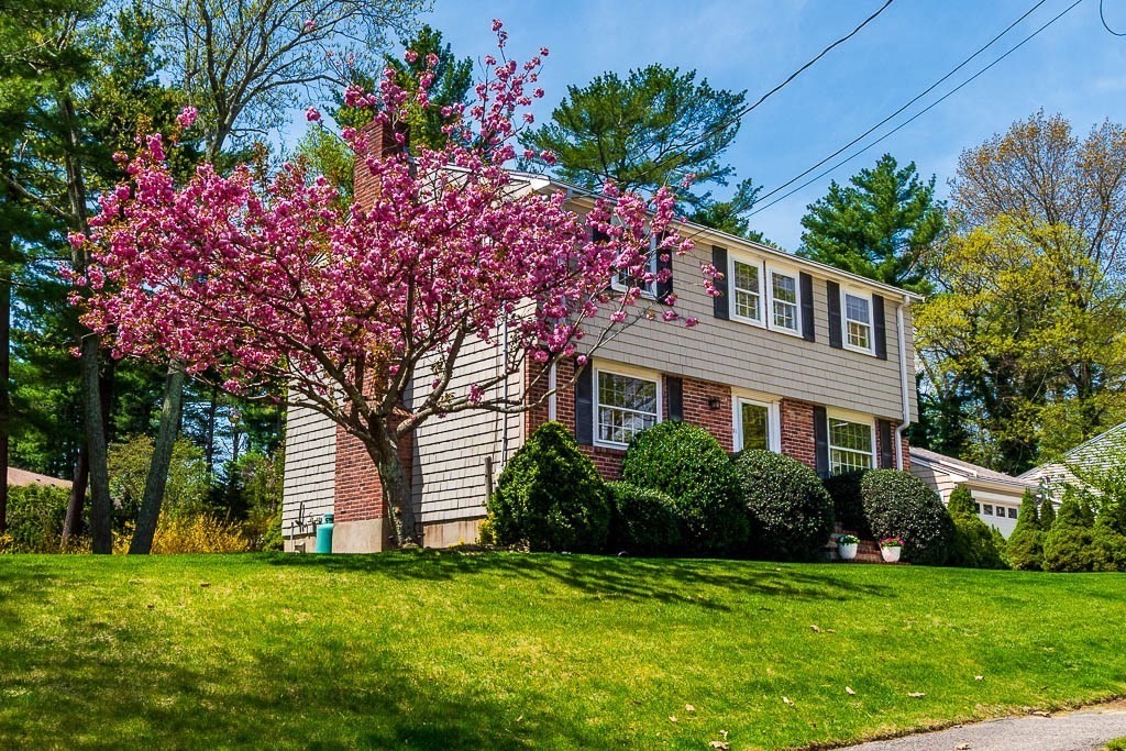 31 Bonney Ln