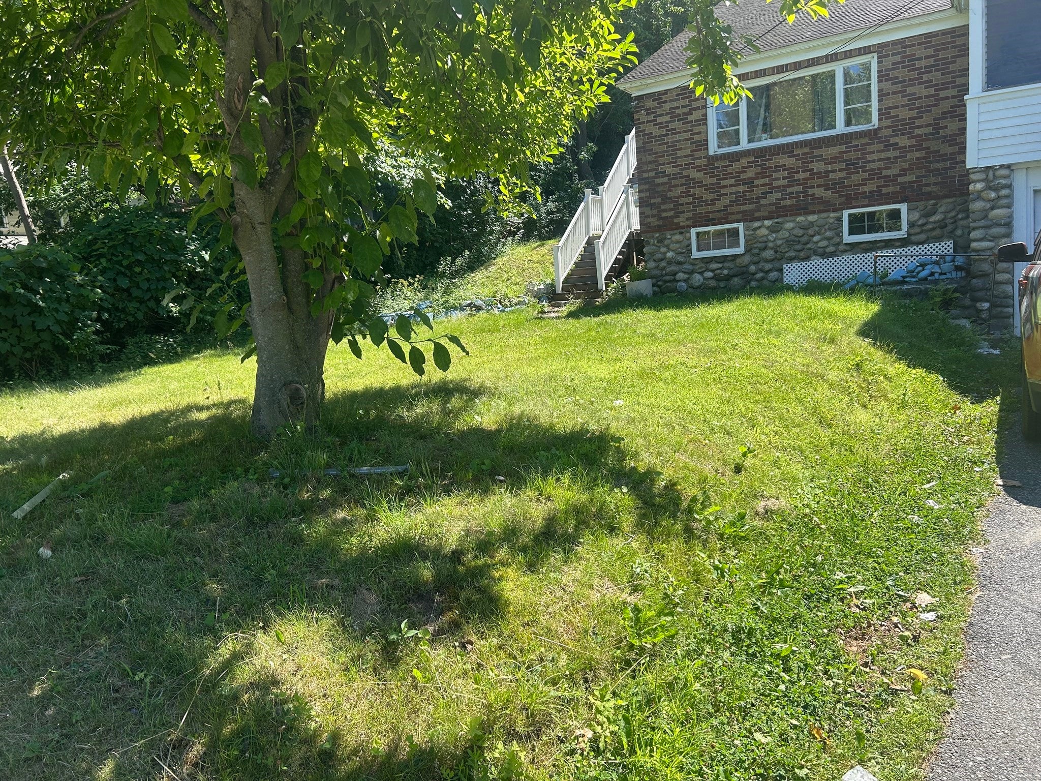 Photo of 3 Natural History Road, Worcester, MA