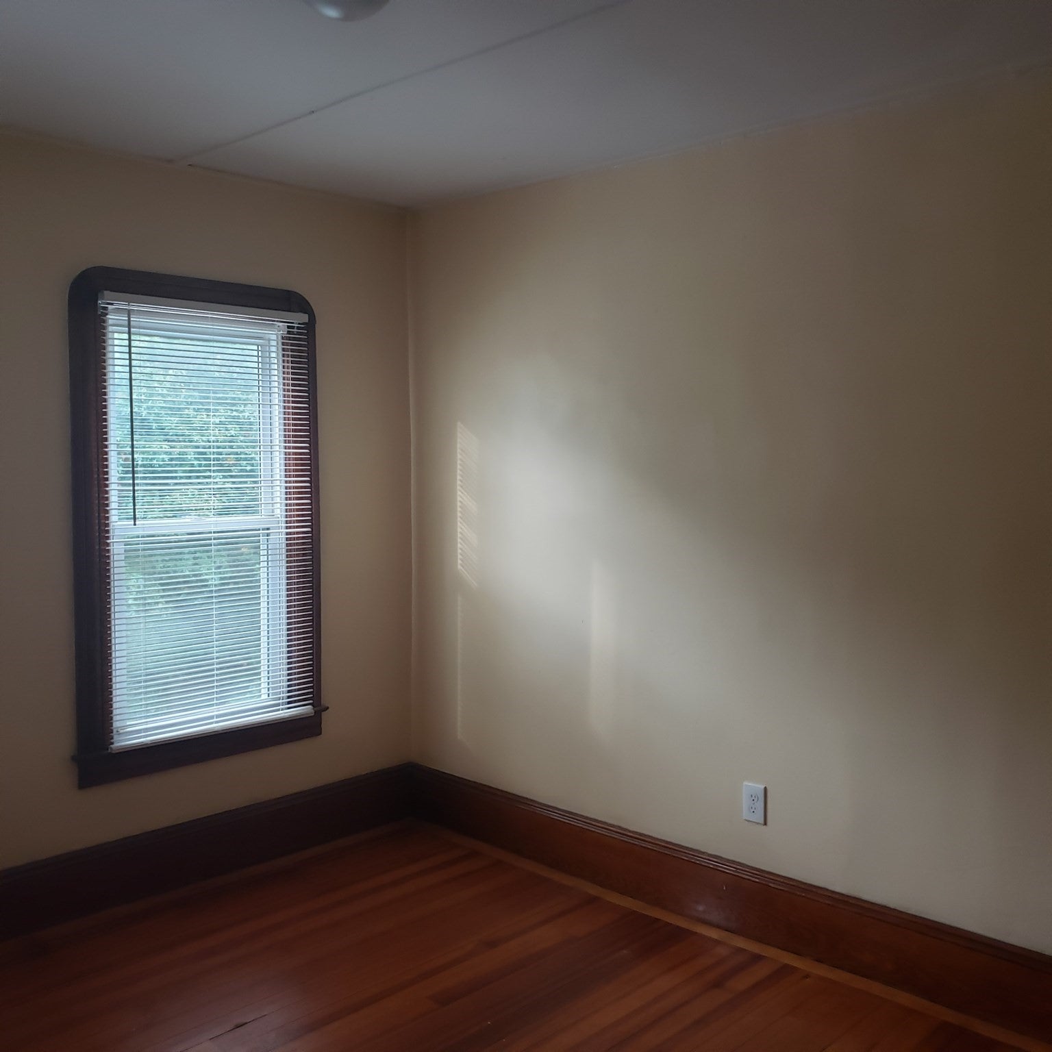 44-46 Langdon St, Springfield, MA, 44-46 Langdon St, Springfield, MA Photo #37