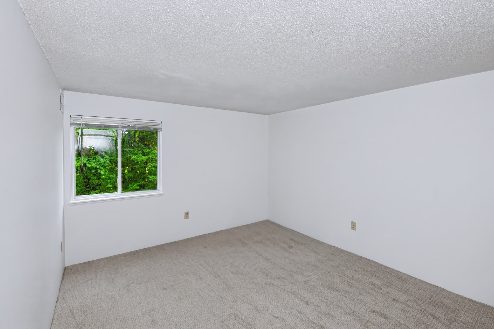 50 Silver Hill Ln #5, Natick, MA, 50 Silver Hill Ln #5, Natick, MA Photo #13