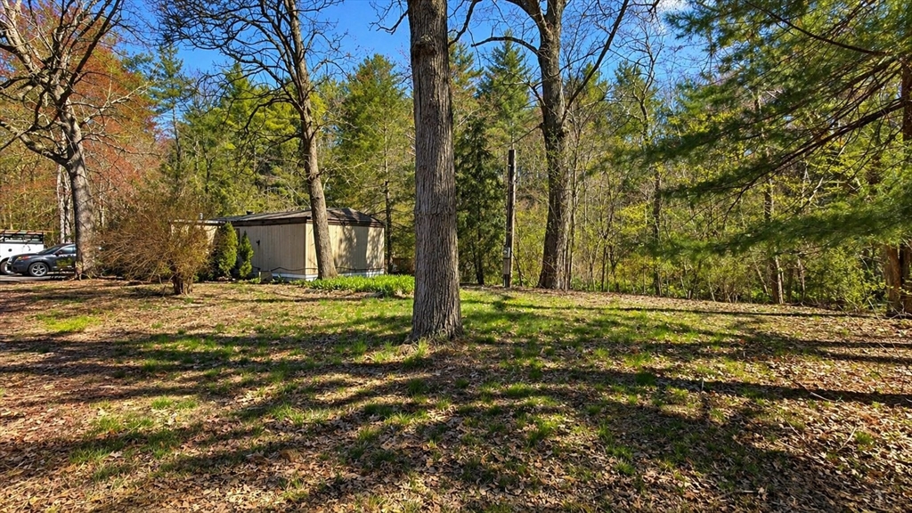 35 Patterson Road