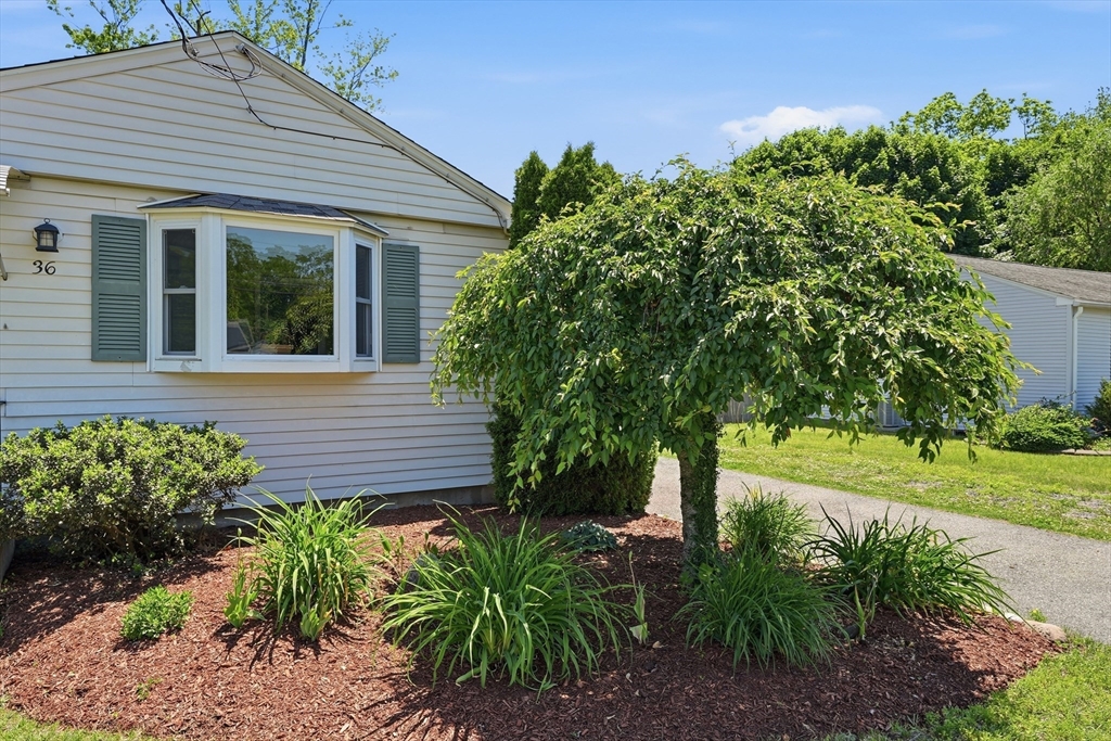 36 Vadnais St