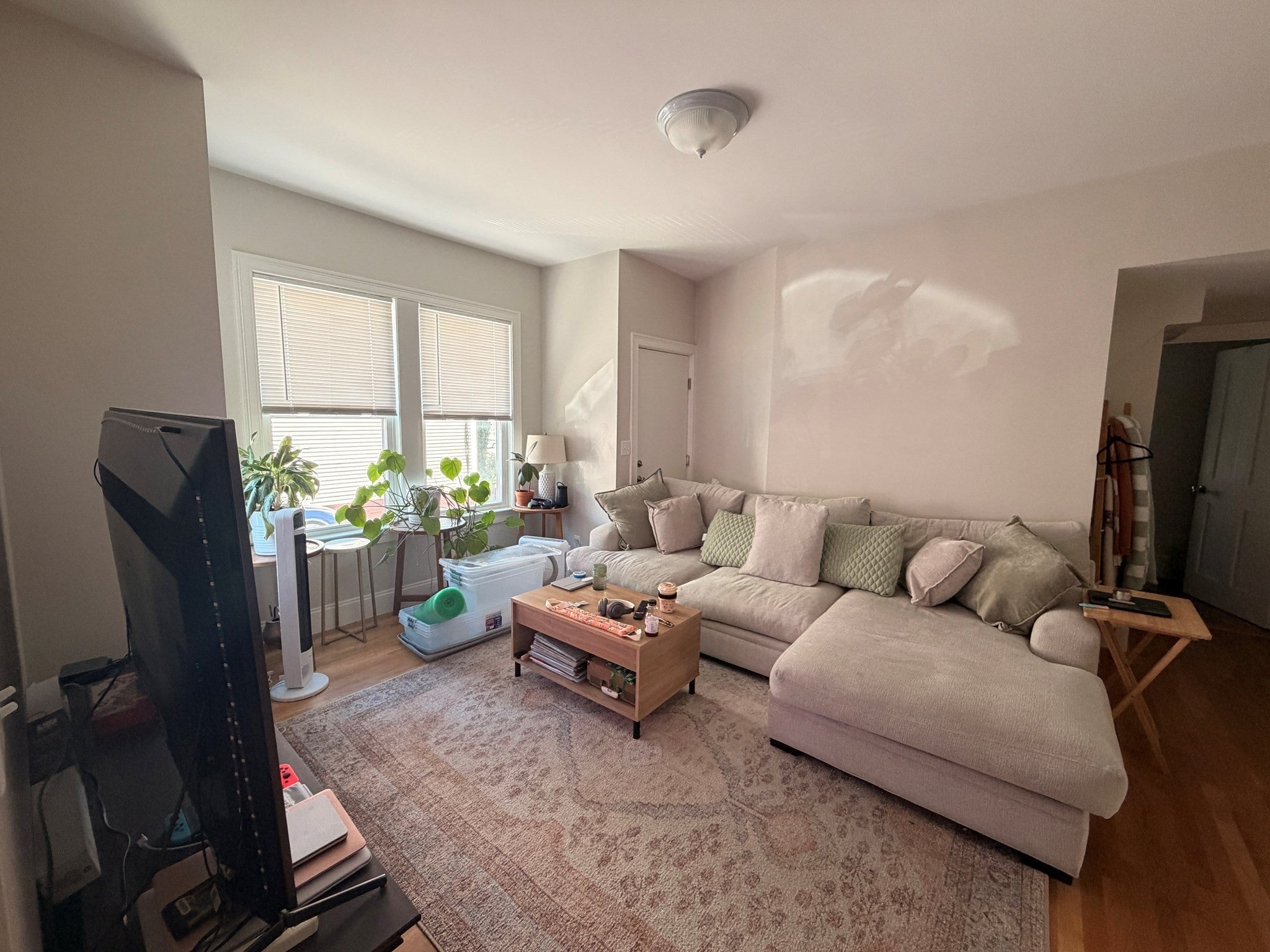 91 Ash Street #1, Waltham, MA Photo #9