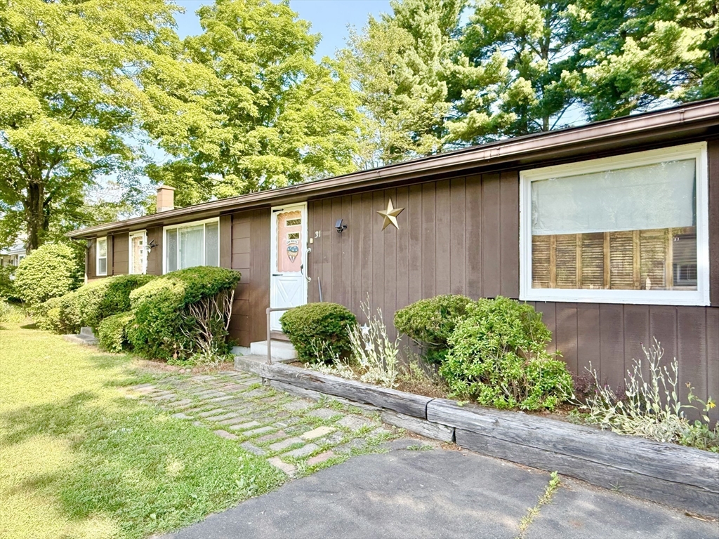 31 Pomeroy St