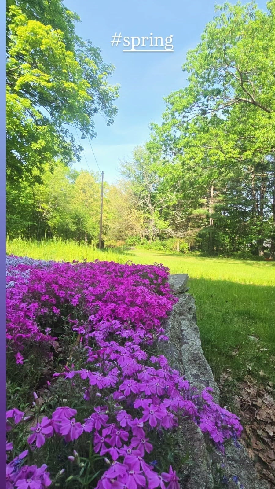 320 Newton Street, Northborough, MA, 320 Newton Street, Northborough, MA Photo #36