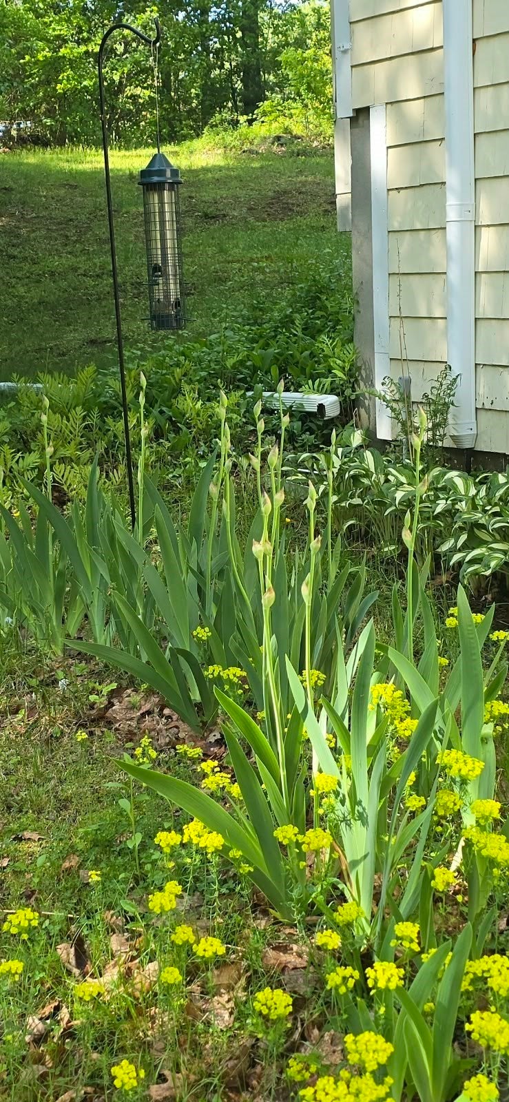 320 Newton Street, Northborough, MA, 320 Newton Street, Northborough, MA Photo #35