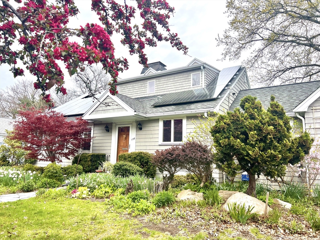 175 Grove Street