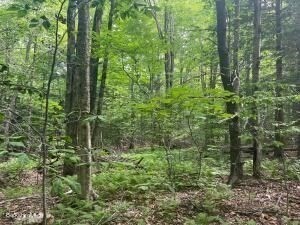 0 Johnnycake Hill Rd