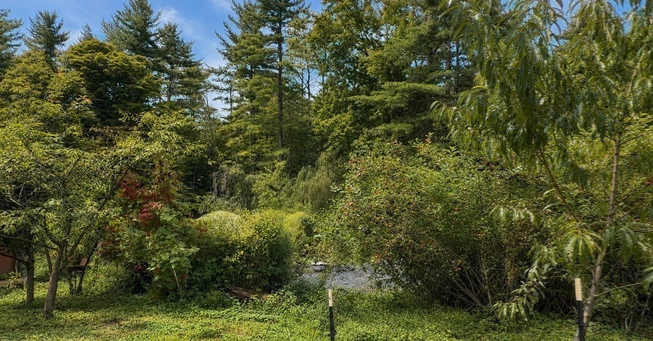 347 Kinne Brook Rd, Worthington, MA Photo #38