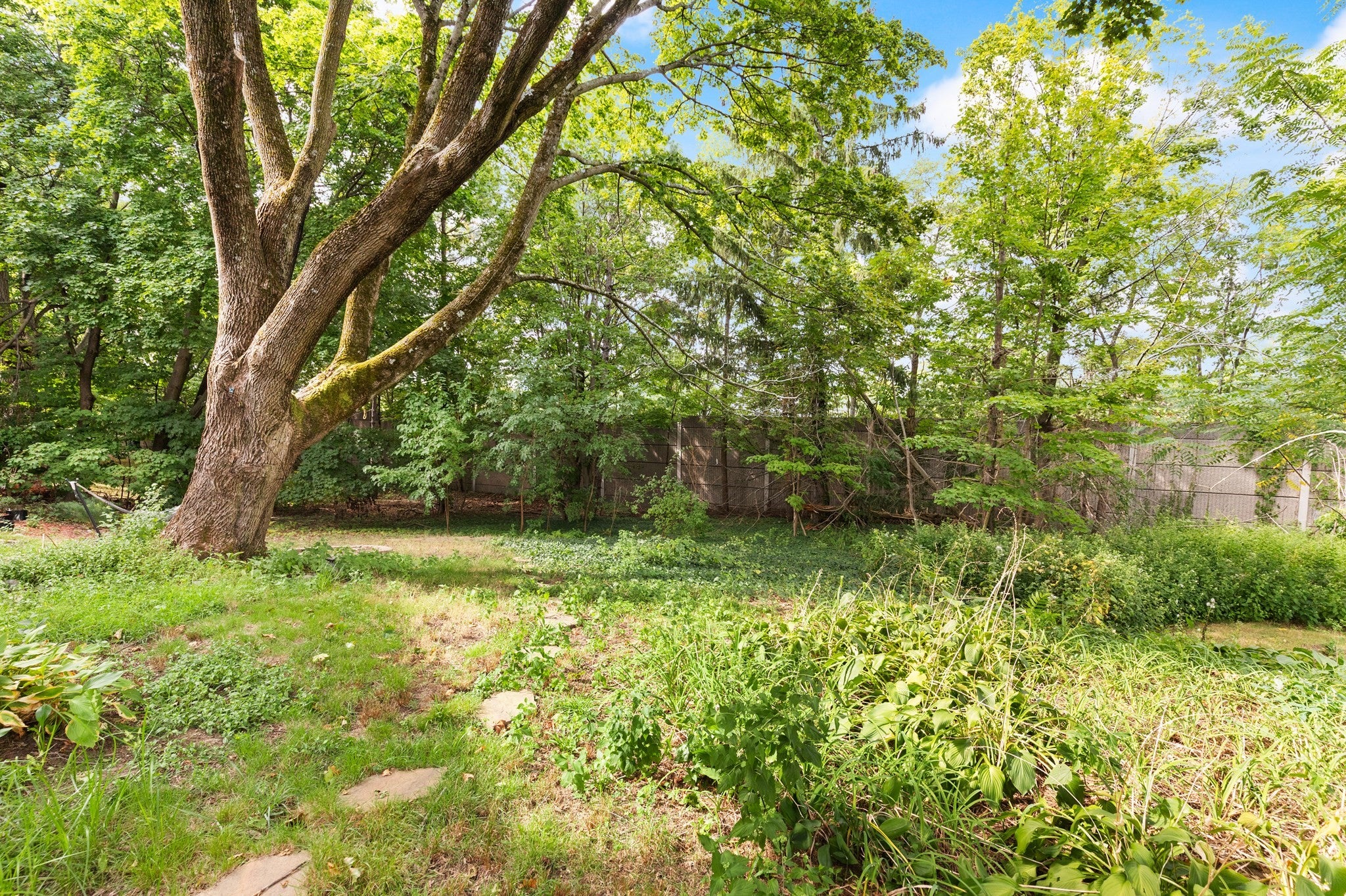 169 Hunnewell Ave #2, Newton, MA, 169 Hunnewell Ave #2, Newton, MA Photo #41