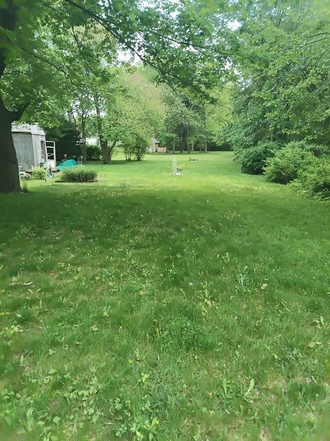 490 North Ave - Photo 4