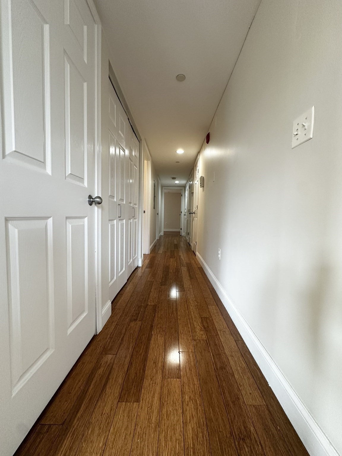 959 Tremont St #3, Boston, MA, 959 Tremont St #3, Boston, MA Photo #16