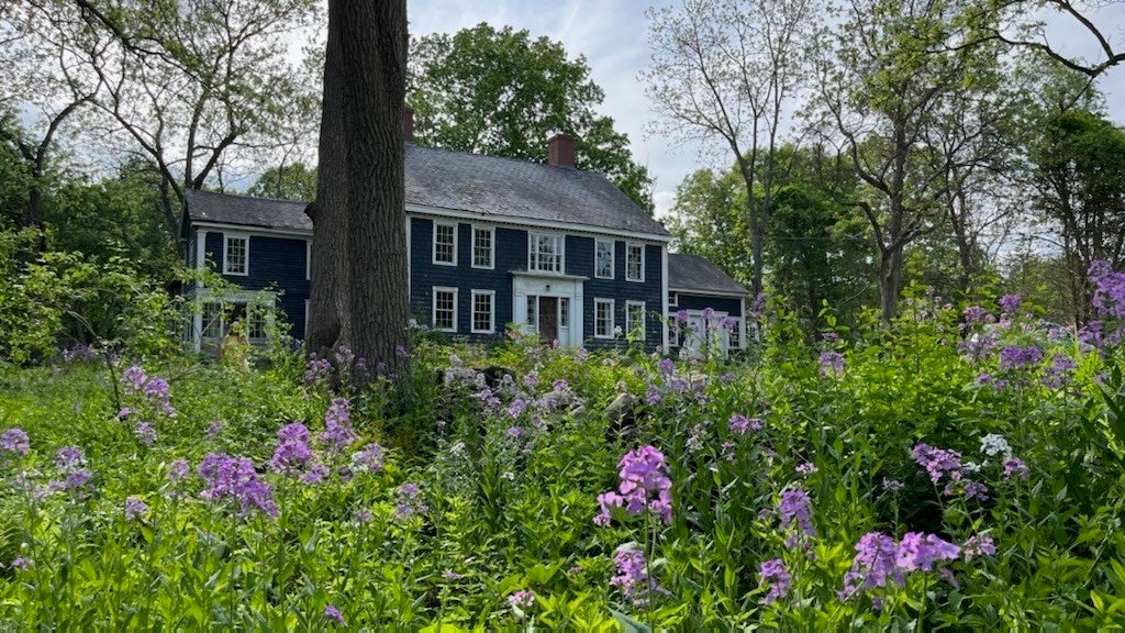 27 Bulkeley Road #Left, Littleton, MA, 27 Bulkeley Road #Left, Littleton, MA Photo #3