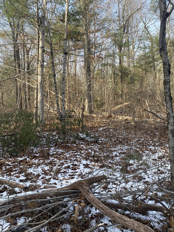 121 & lt12 Sturbridge Rd