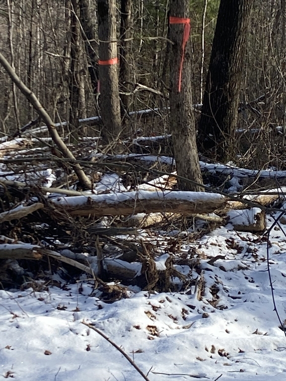 121 & lt12 Sturbridge Rd