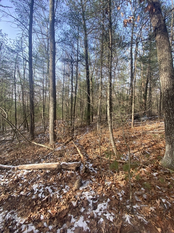 121 & lt12 Sturbridge Rd