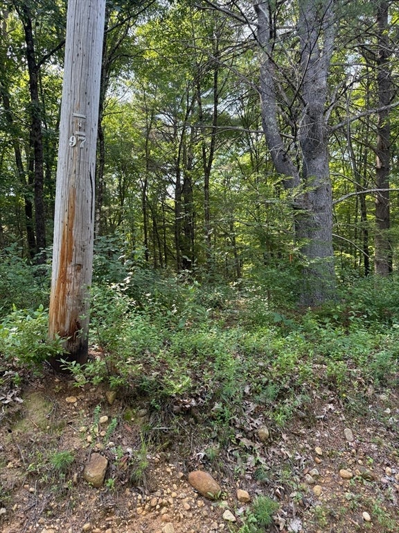 291 Warren Rd