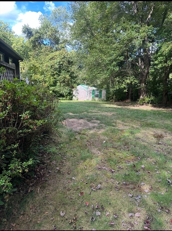 19 Burt St