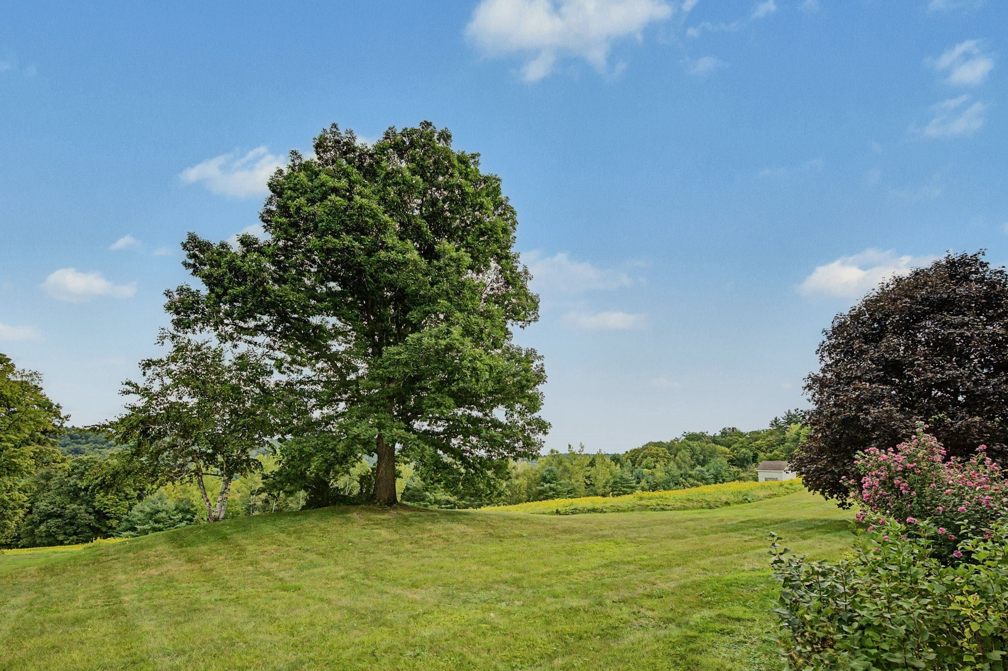 51 Dragon Hill Road #51, Shelburne, MA, 51 Dragon Hill Road #51, Shelburne, MA Photo #33