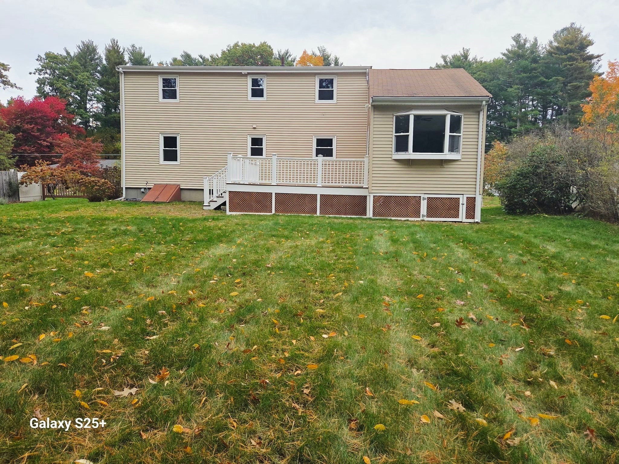 25 Neal St