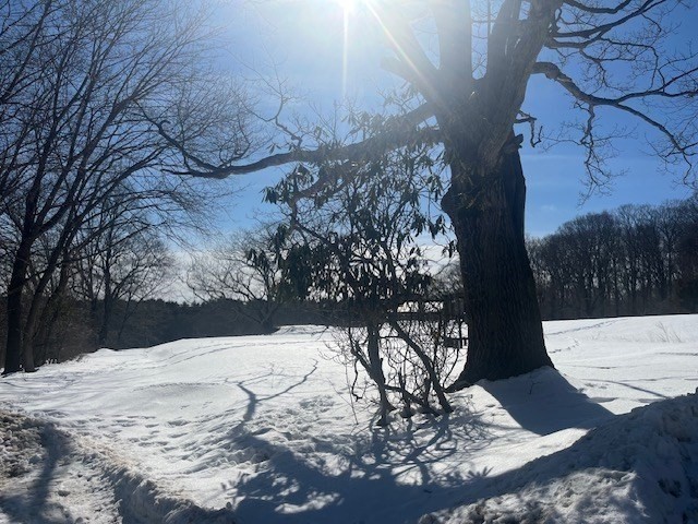 89 Old Connecticut Path