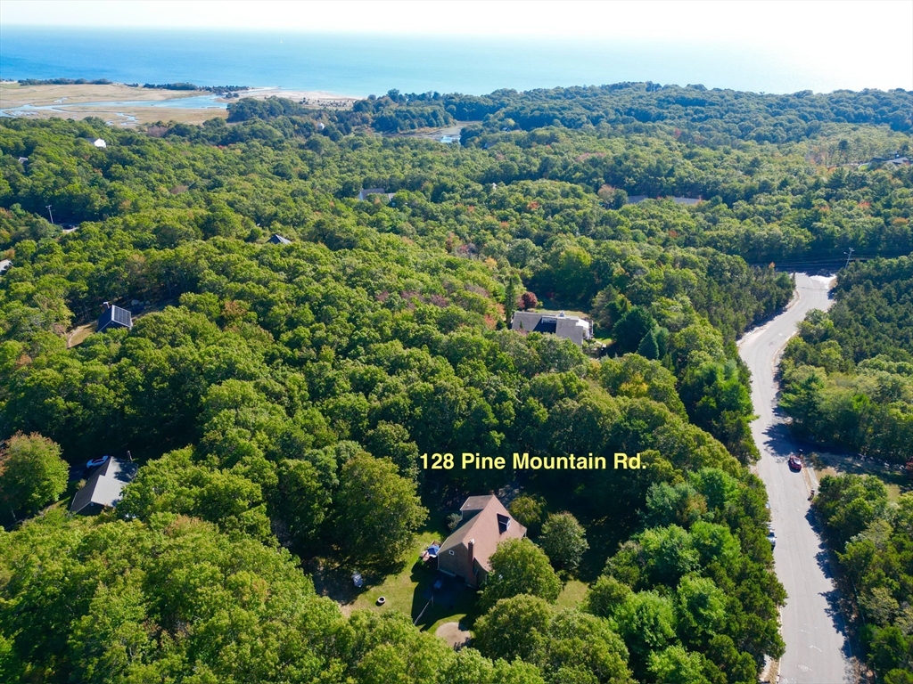 128 Pine Mountain Dr