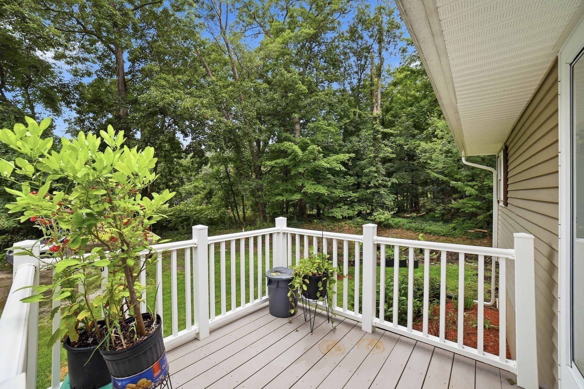 48 Sorrento St, Worcester, MA, 48 Sorrento St, Worcester, MA Photo #5