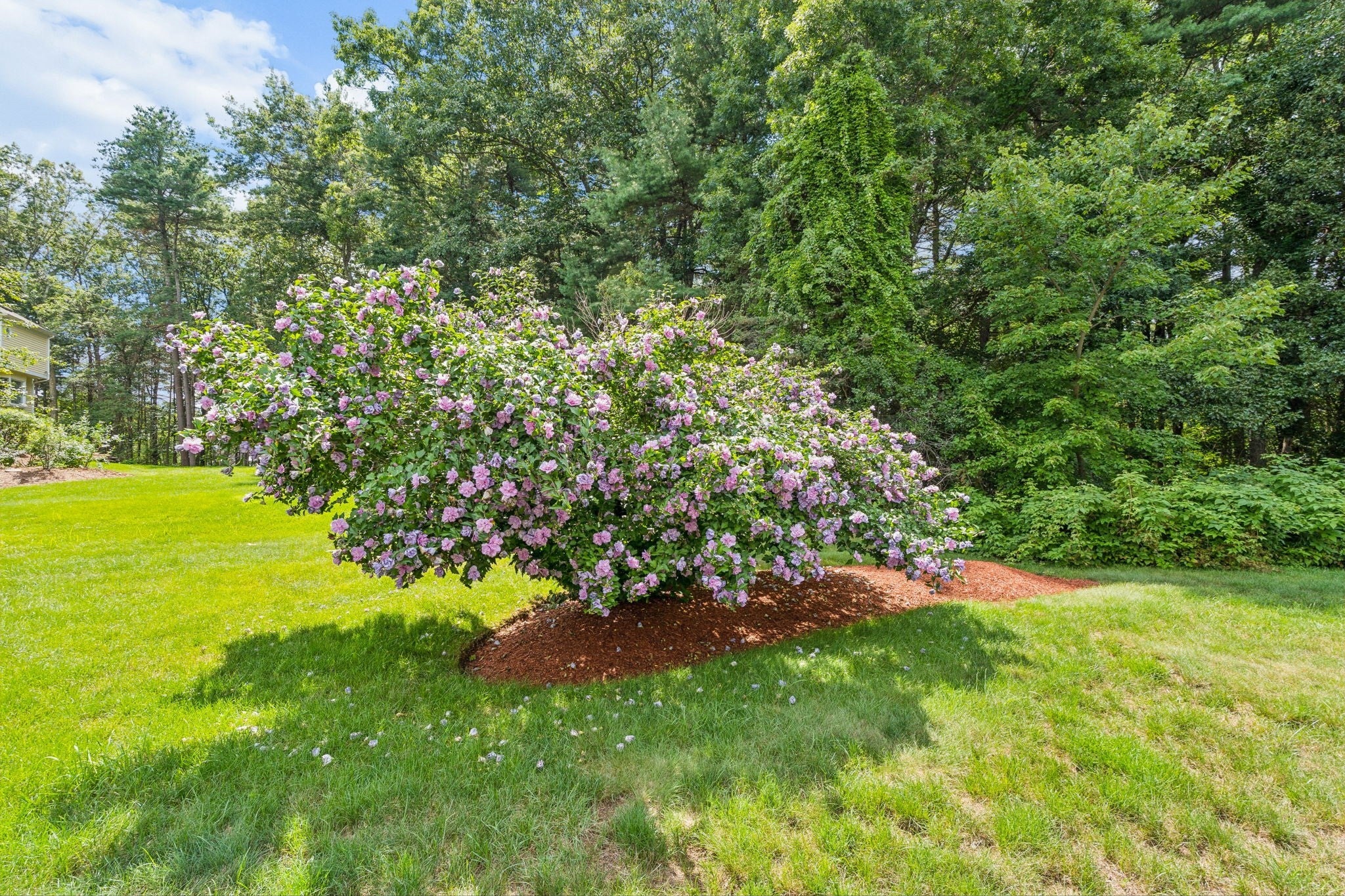 5 Buckskin Lane, Westford, MA, 5 Buckskin Lane, Westford, MA Photo #42