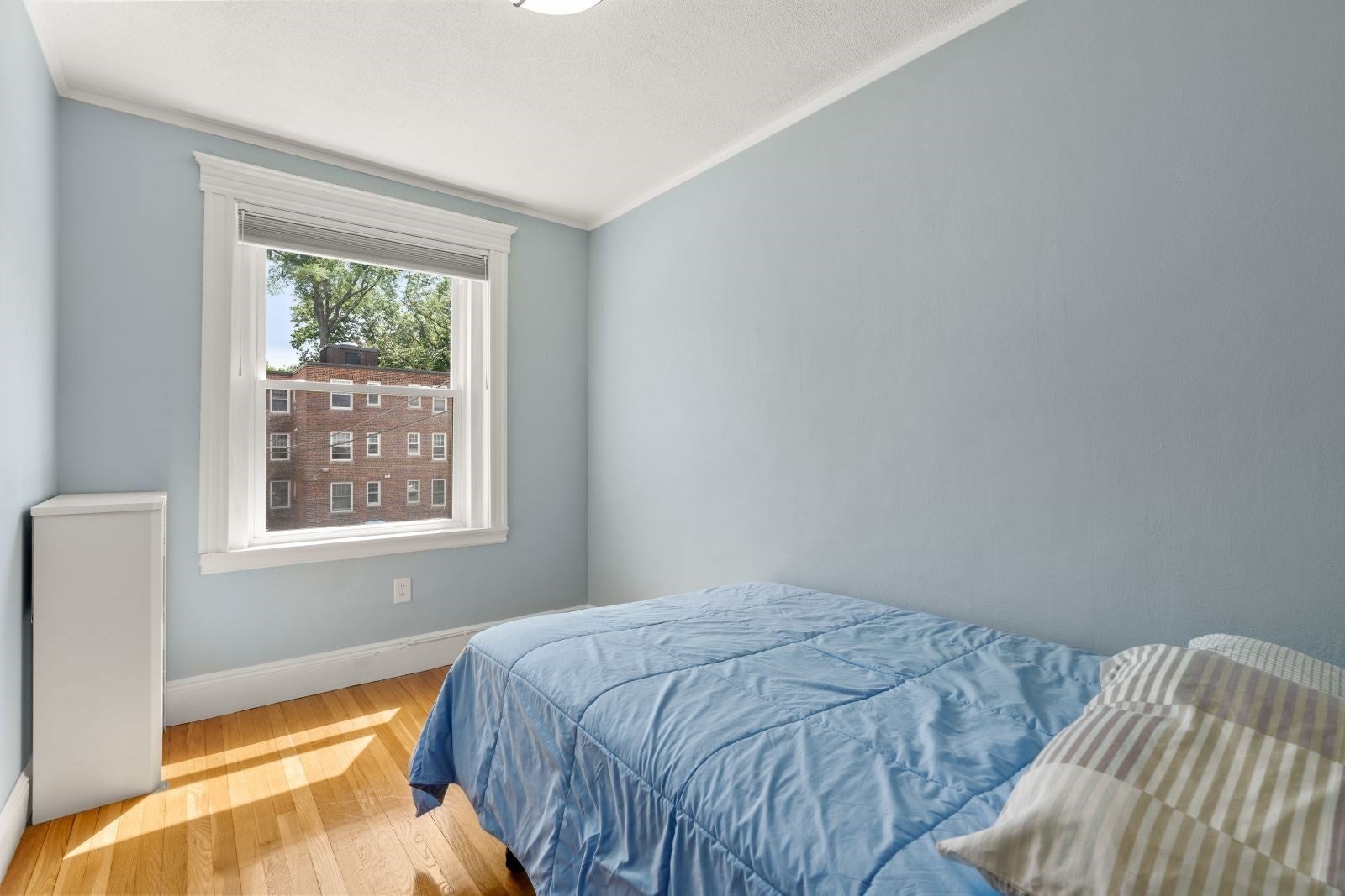 20 Egmont Street #4, Brookline, MA, 20 Egmont Street #4, Brookline, MA Photo #15