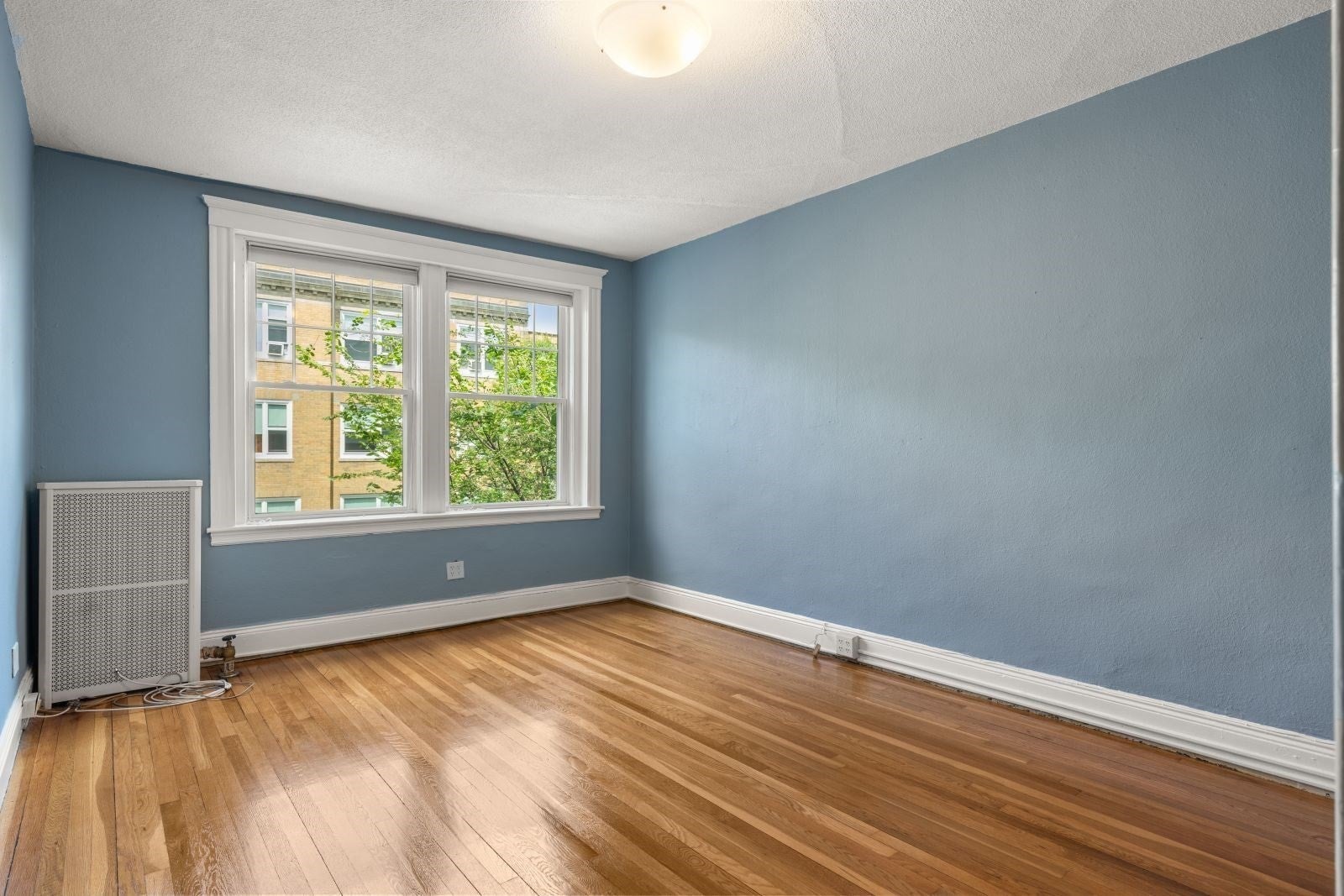 20 Egmont Street #4, Brookline, MA, 20 Egmont Street #4, Brookline, MA Photo #13
