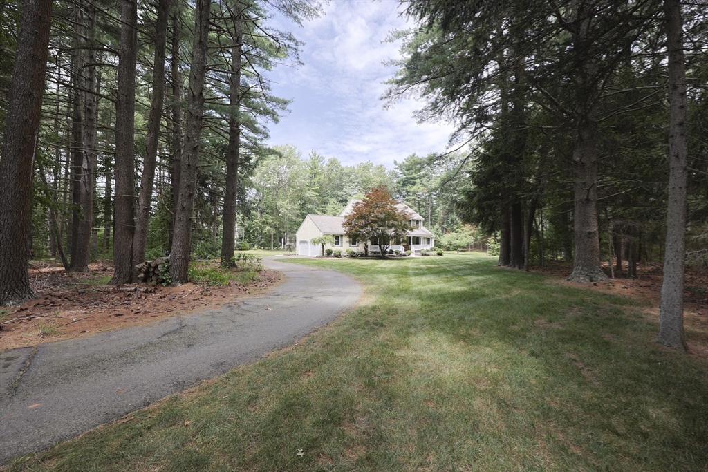 9 Tobacco Road