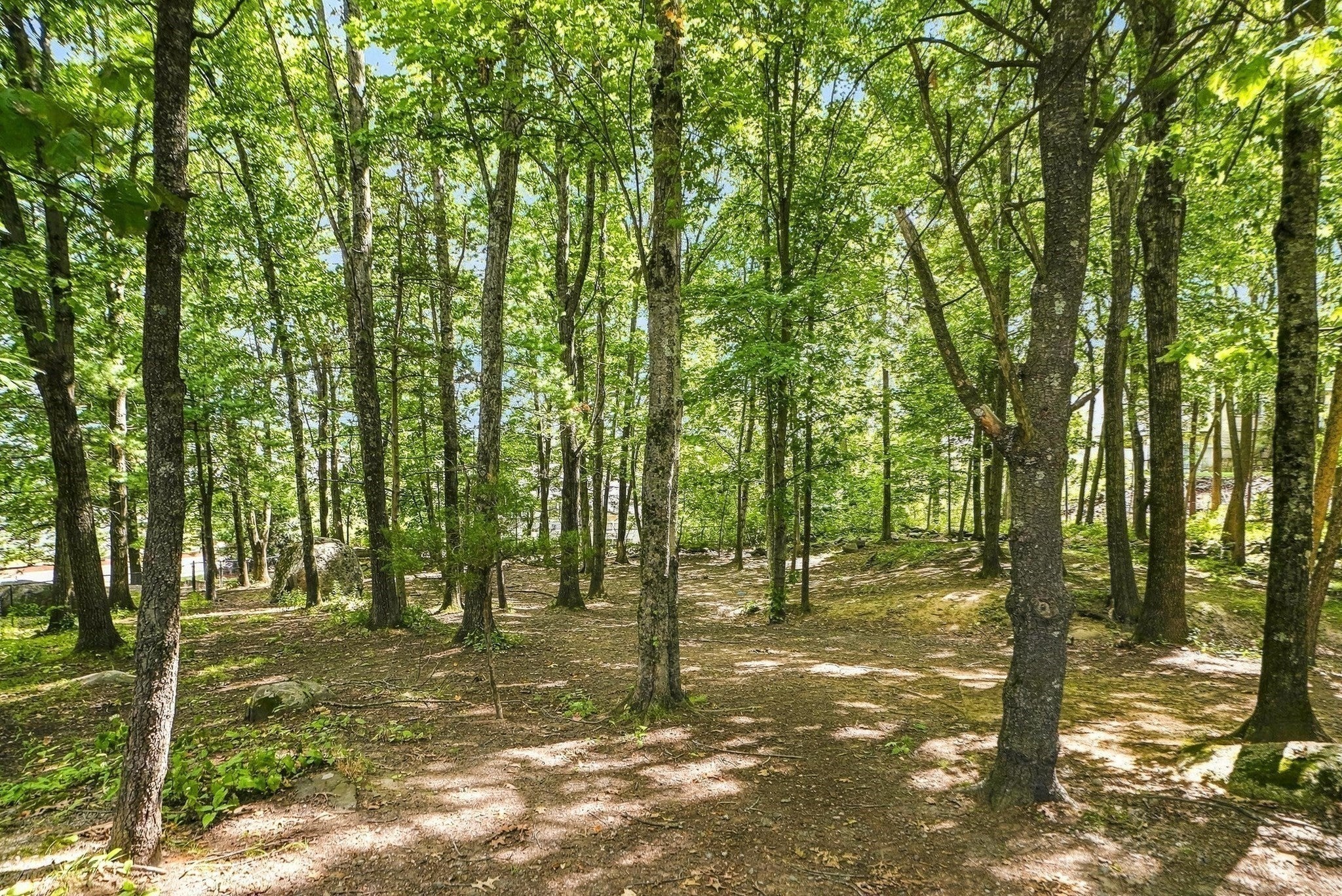2201 Briarwood Village #2201, Clinton, MA Photo #38