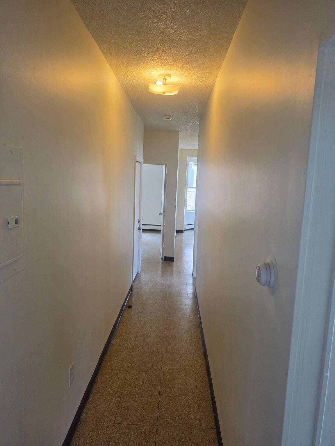 722 Dudley ST #3, Boston, MA Photo #7
