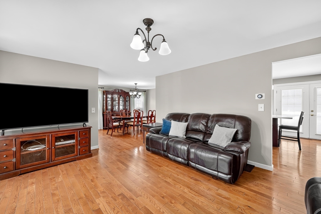 53 Cecile St