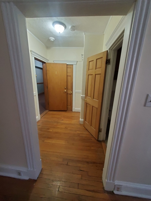 364 Riverway #5, Boston, MA, 364 Riverway #5, Boston, MA Photo #6