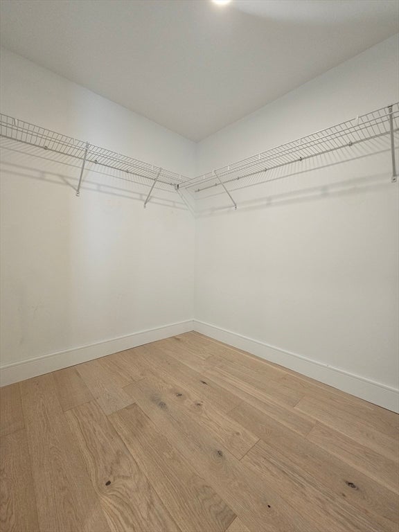 50 Leo M Birmingham Pkwy #310, Boston, MA, 50 Leo M Birmingham Pkwy #310, Boston, MA Photo #8