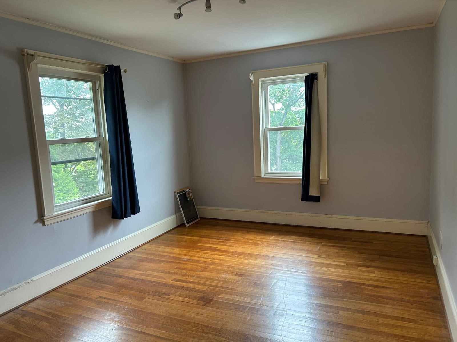 35 Dundee Rd, Arlington, MA, 35 Dundee Rd, Arlington, MA Photo #19