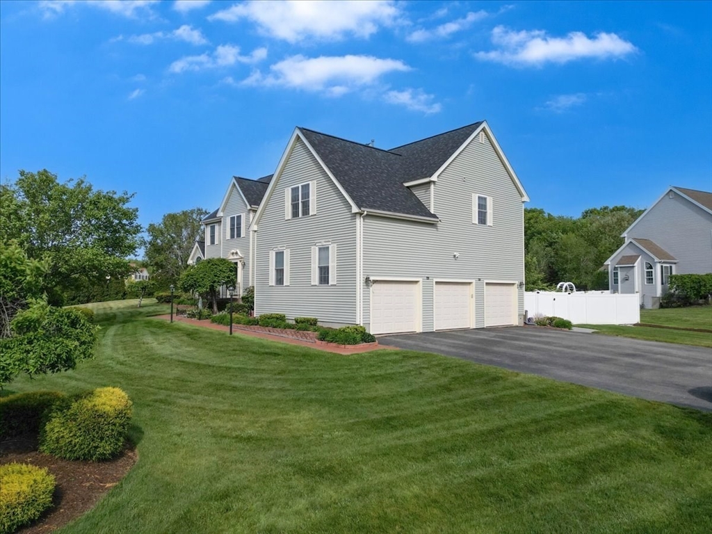 11 Copper Beech