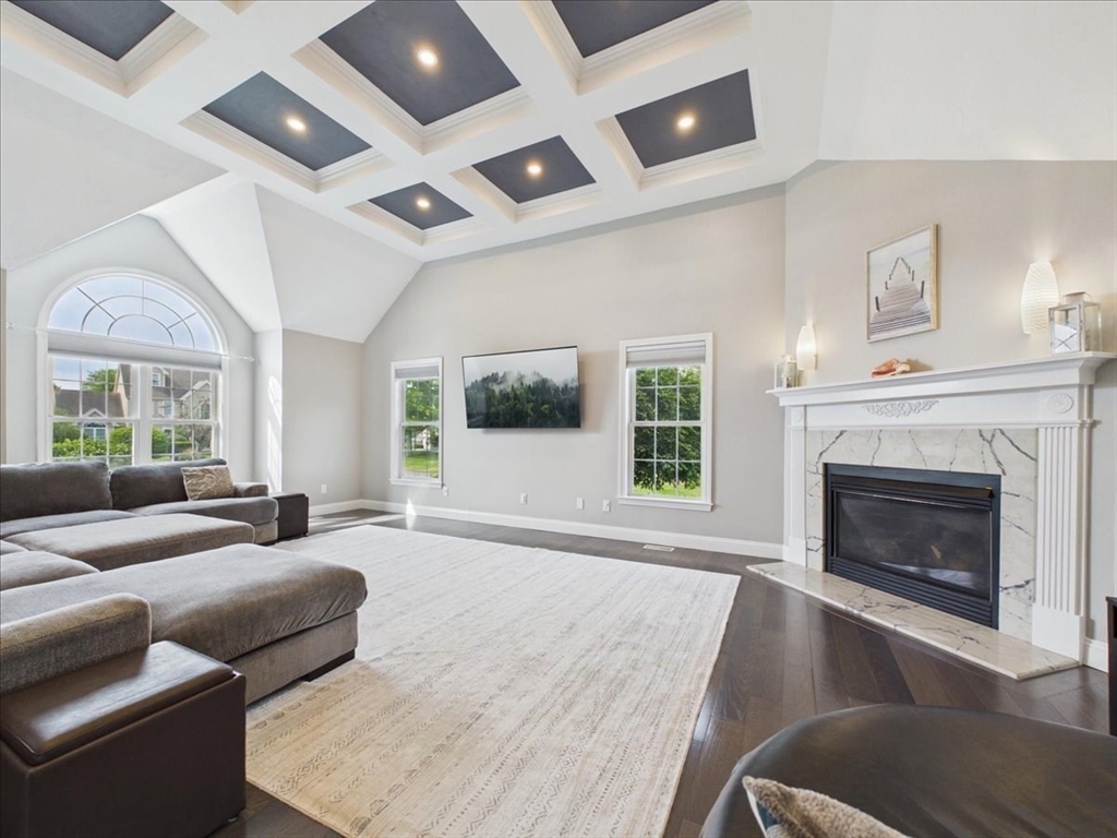11 Copper Beech