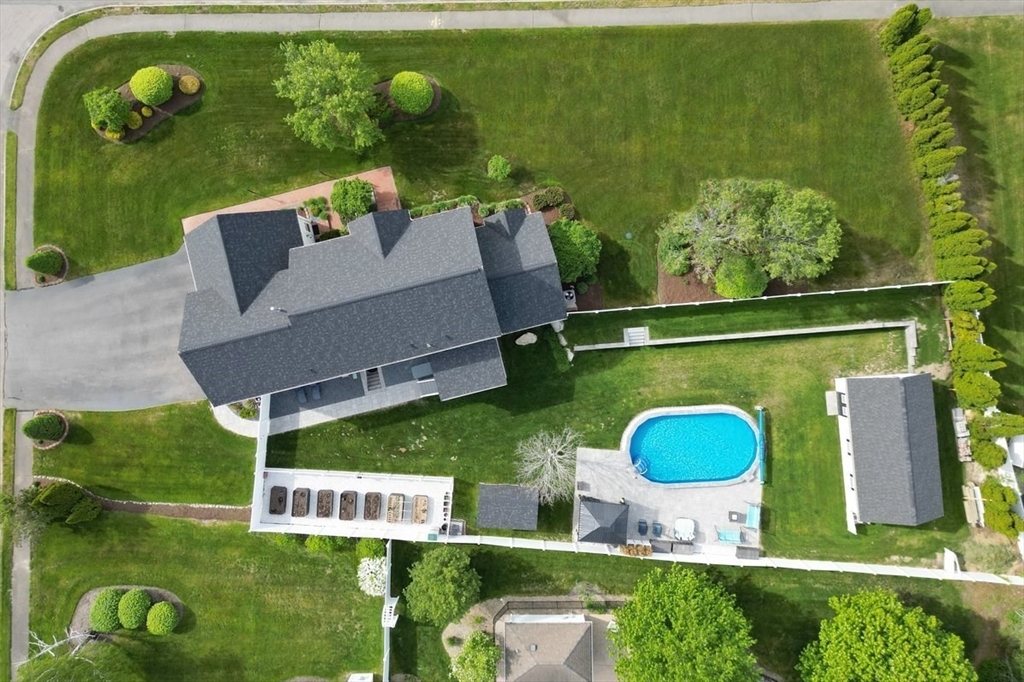 11 Copper Beech