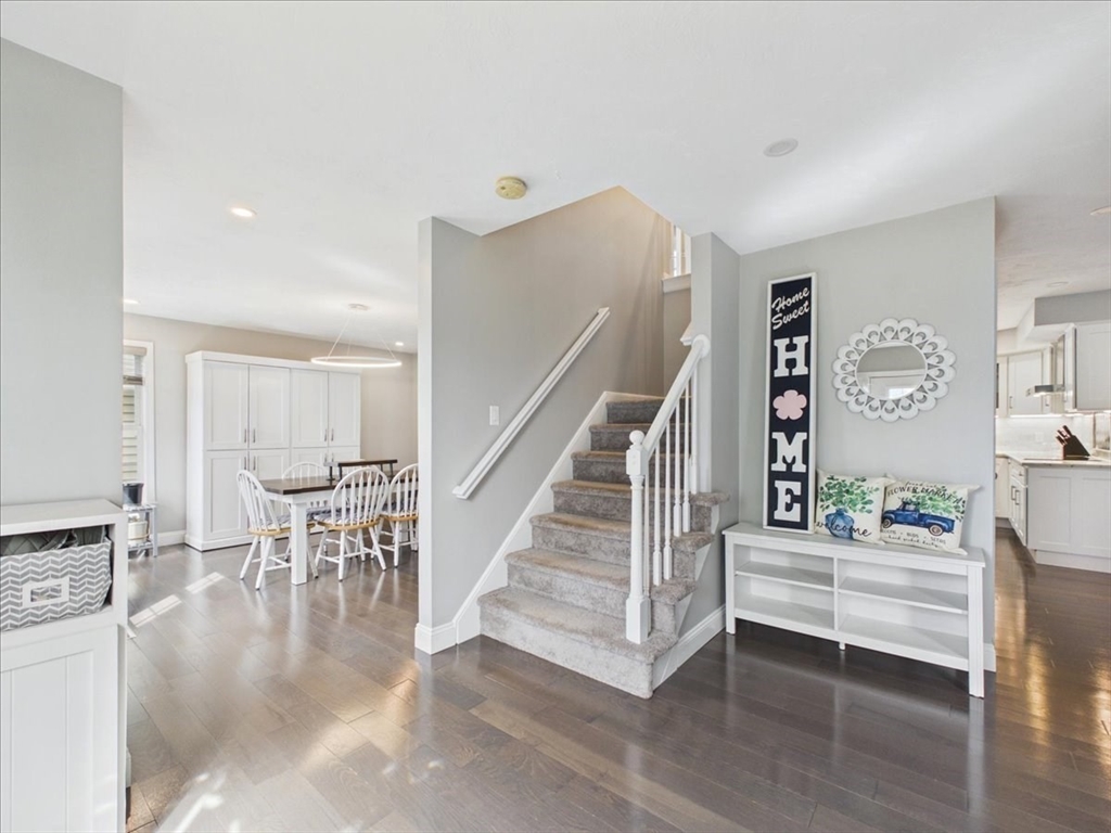 11 Copper Beech