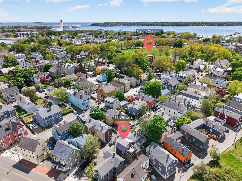 31 Williams Street