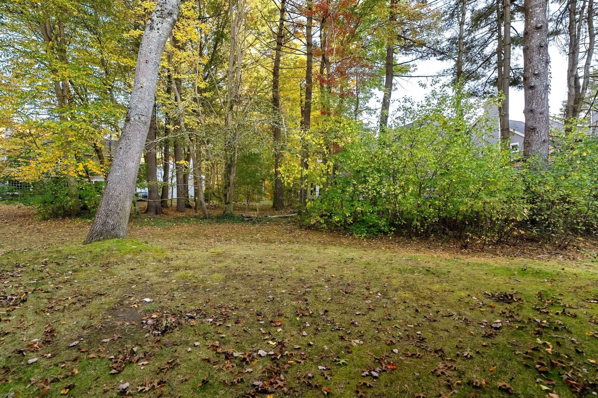 16 Holly Ct #16, Rockland, MA, 16 Holly Ct #16, Rockland, MA Photo #31