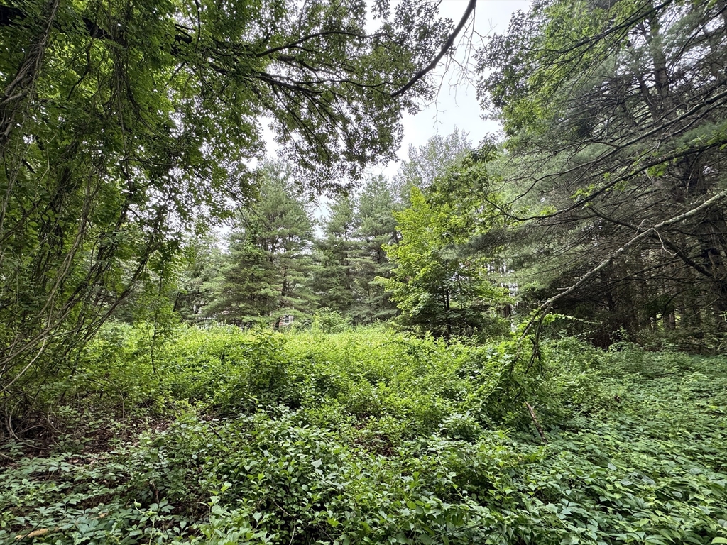 22 Haggetts Pond Rd