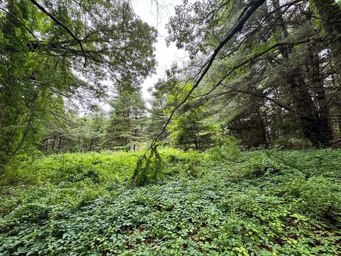 22 Haggetts Pond Rd Andover MA 01810