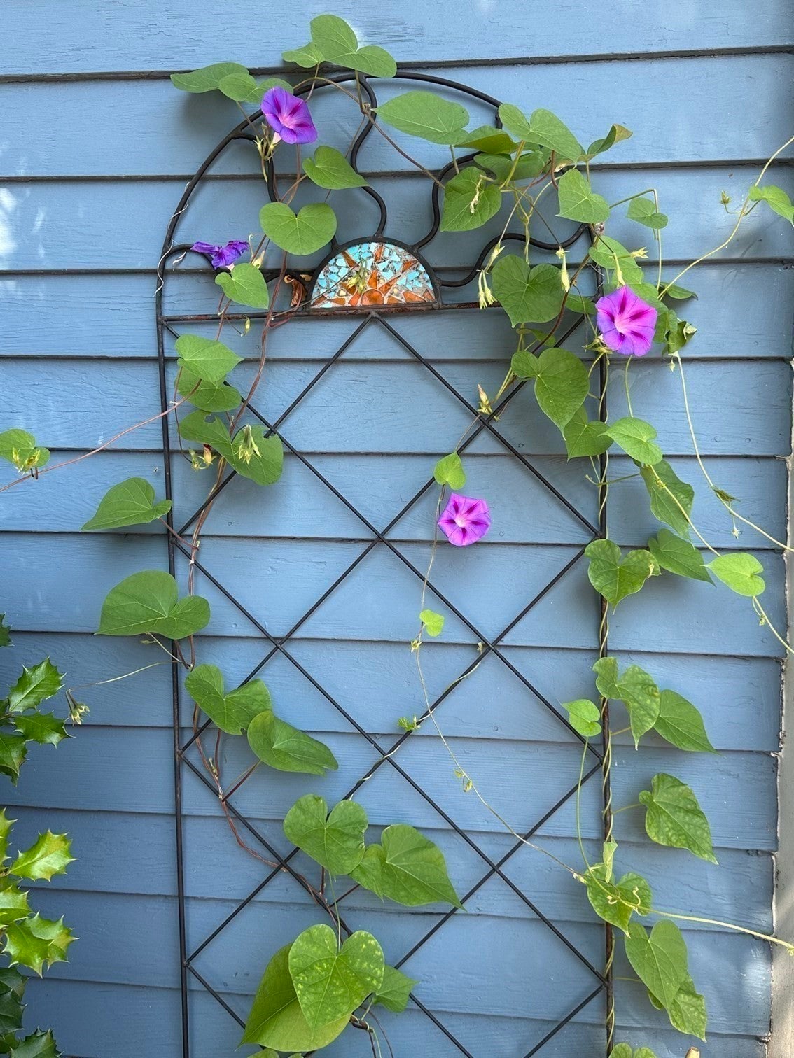 38 Market SQ, Newburyport, MA, 38 Market SQ, Newburyport, MA Photo #17