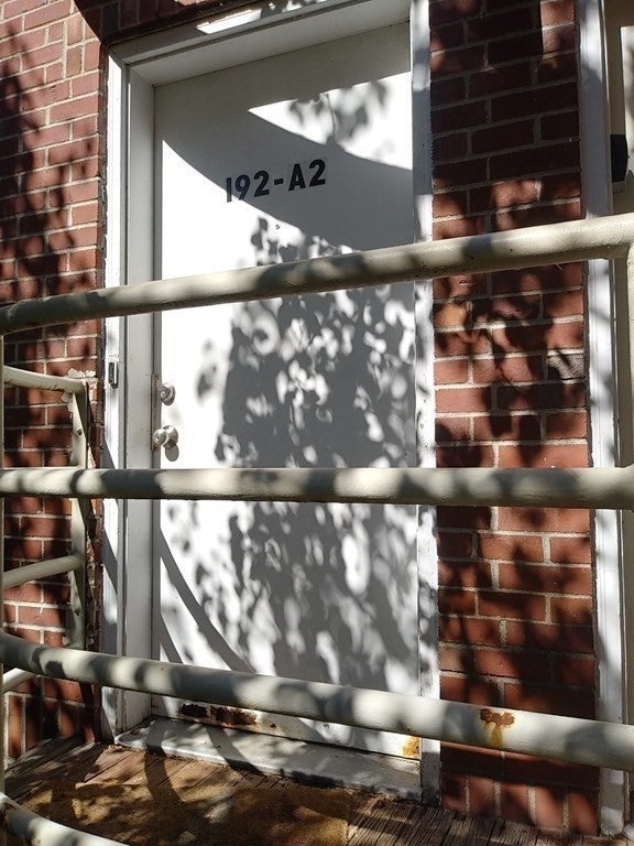 192 A Allston Street #A2, Boston, MA, 192 A Allston Street #A2, Boston, MA Photo #19