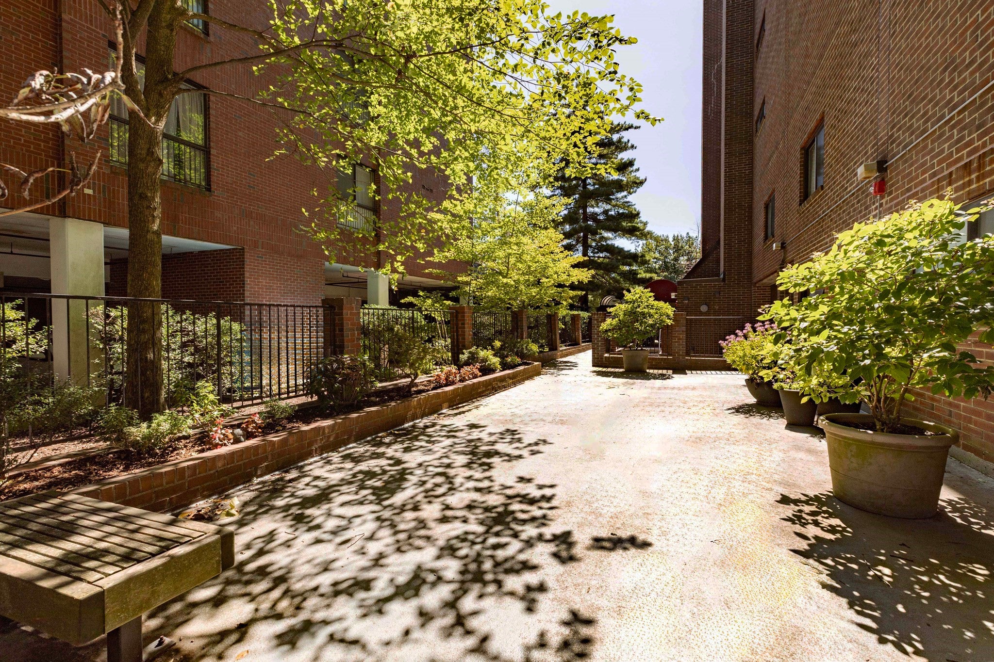 1856 Beacon Street #PHD, Brookline, MA, 1856 Beacon Street #PHD, Brookline, MA Photo #3